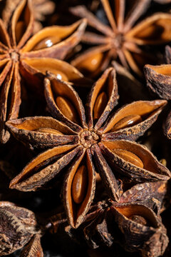 Close-up of star anise on a dark surface 