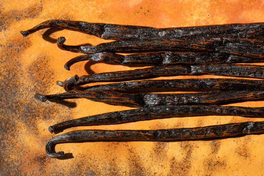 Whole vanilla beans on an orange surface 