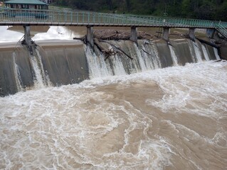 Trees on dam after rainy days 2 © Milomir
