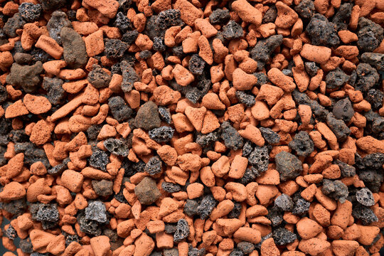 Close‑up of porous horticultural stones forming a textured yellow‑and‑black background, used as a natural substrate and botanical backdrop for plant‑related designs.