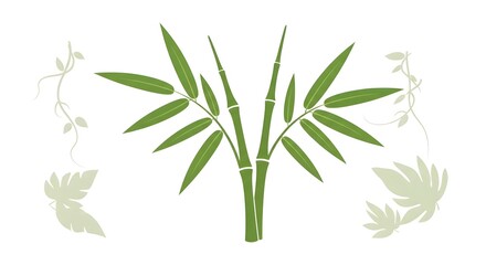 Fototapeta premium Three verdant bamboo stalks with leaves centered on a crisp white background