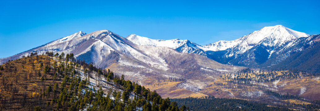San Francisco Peaks Panoramic View from Sunset Crater Volcano National Monument Arizona
