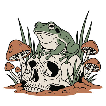 Green frog sitting calmly on a vintage human skull surrounded by wild forest mushrooms in this creative vector graphic illustration