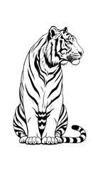 Obraz premium Tiger vector illustration of a wild striped feline on a clean white background
