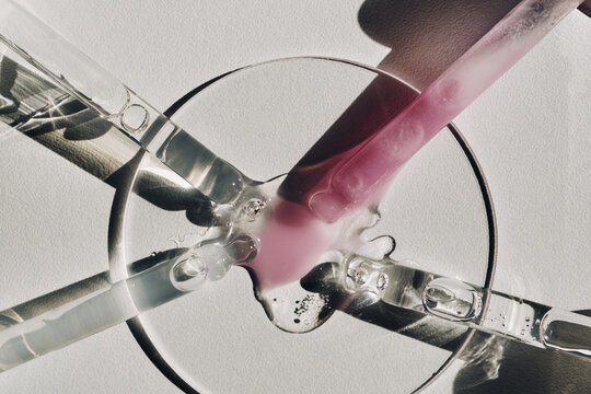 Serum droplets merging on petri dish with pipettes creating blend