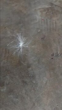 Pappus is Floating in House