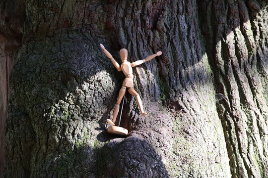 wooden mannequin in the woods.