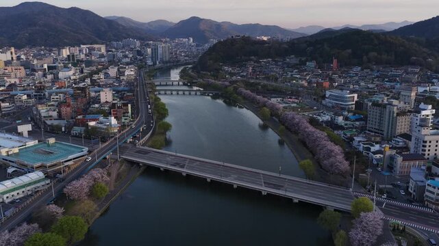 봄이 한창인 순천