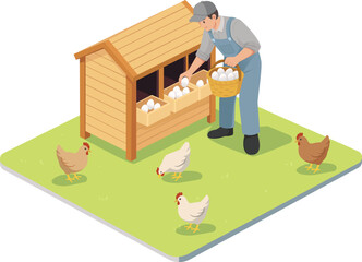 Isometric farm scene showing a farmer collecting eggs from a wooden chicken coop surrounded by hens on green grass. © Nunkii