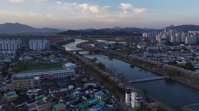 봄이 한창인 순천