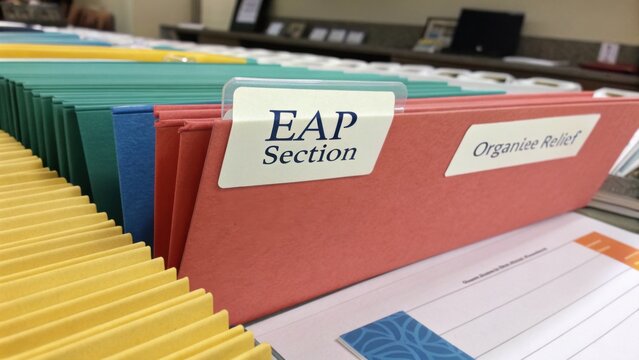 Organized Colorful File Folders for Office Use with Labels Displaying EAP Section and Organizer Relief