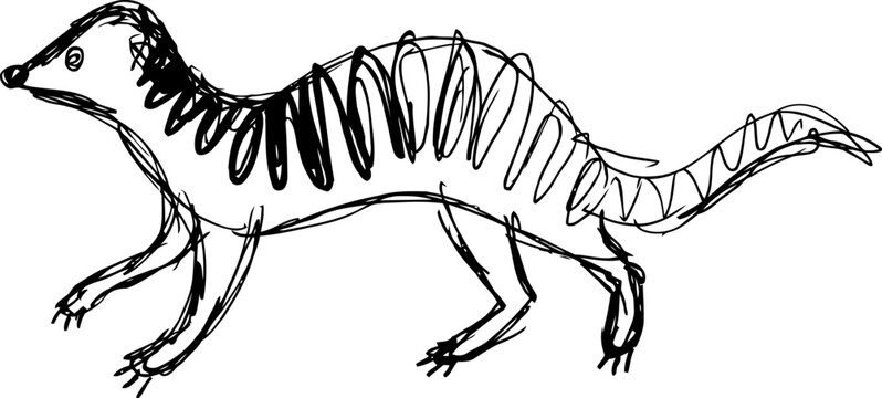 Sketch of a striped animal standing on four legs with a long tail and pointed snout