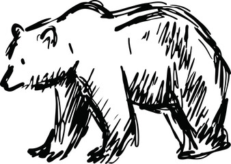 Fototapeta premium hand drawn black sketch of a walking bear in profile, wild animal line art illustration