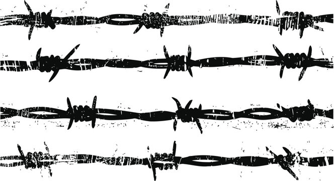 Grunge barbed wire fence isolated on white background rough textured metal security barrier, sharp spikes detail