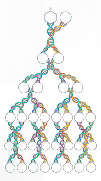 Abstract DNA double helix family tree infographic illustrating genealogy, ancestry, and genetic heredity lineage