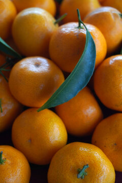 Top view of a pile of fresh orange mandarin oranges with green leaves. Full frame background of ripe sweet tangerines or clementines, ideal for healthy food and harvest concepts. jeruk santang madu