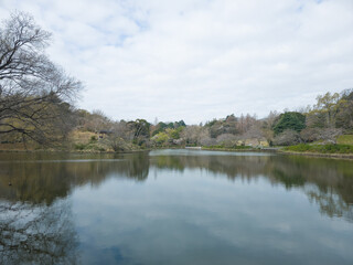 Obraz premium 春の三ッ池公園