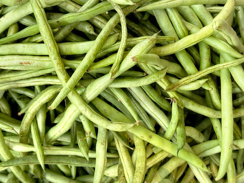 Close up pile of long green beans. Green beans are famous vegetable dishes cooked in most of asian cuisine, oriental Chinese food, and home cooking. Seamless background texture.