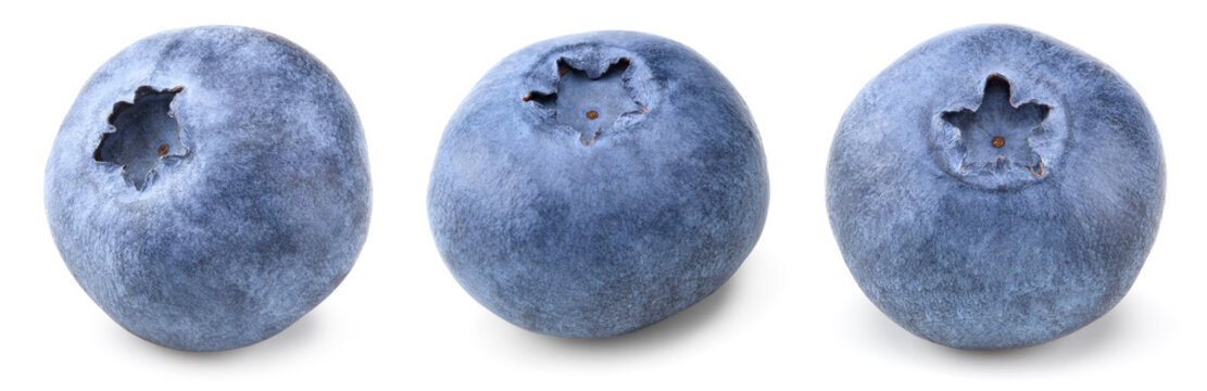 blueberry isolated on white background. macro. clipping path