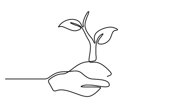 Hands holding leaves branch continuous line drawing animated video. Plant in human arm one line art. Full length single line animation. 4k video