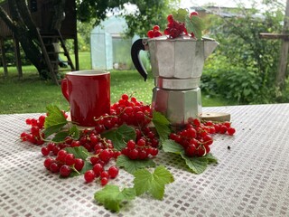 Zestaw kawowy, polska wieś © Maciej G. Szling