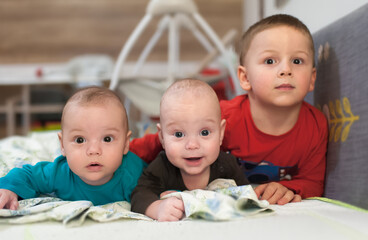 Three brothers enjoy a playful moment in their warm living room. The older sibling watches over his baby twin brothers, who are full of smiles and curiosity