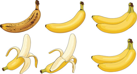 PrintBanana vector set featuring whole, peeled and ripe bananas in different stages isolated on white background for fruit and healthy food design © MstBabli