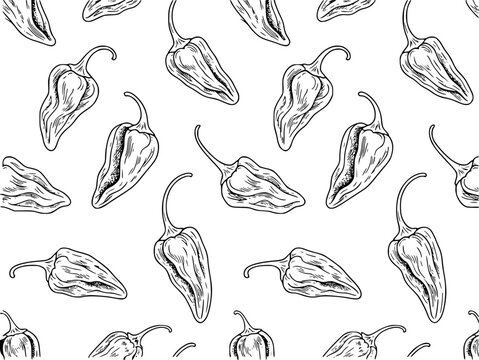 Hand drawn black and white pattern of ghost peppers a white background chili food