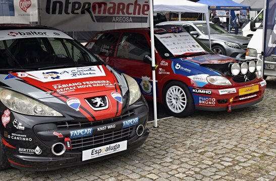Rally cars Peugeot 206 and Citroen Saxo prepared for motorsport competition