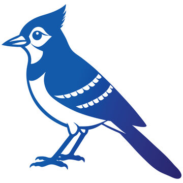 Blue jay bird vector silhouette vector flat illustration design on a white background