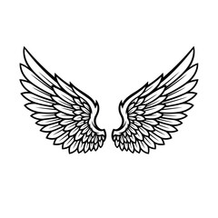Obraz premium eagle with wings