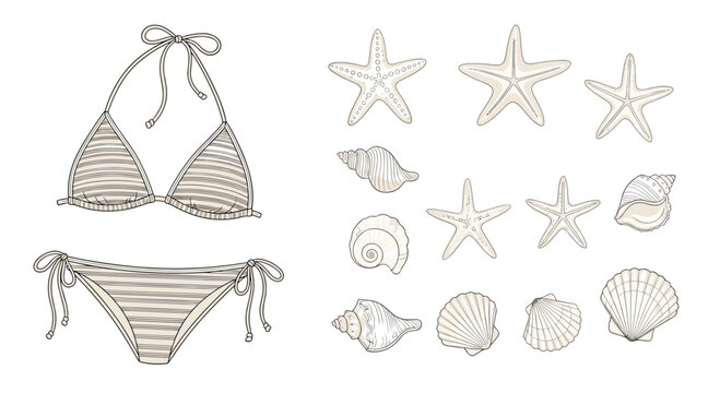 Hand drawn collection of summer beach essentials including a stylish string bikini set and various types of seashells and starfish.