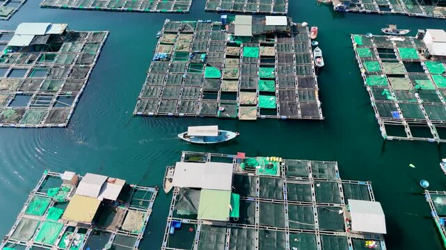 An aerial view of marine farm facilities, including cages for raising marine animals for food. A fishing boat is among them. A view of a fishing village on a tropical island
