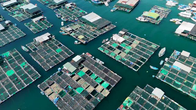Aerial top view of marine farms structures of aquaculture cages for growing marine animals for food. View of fishing village on tropical island province.