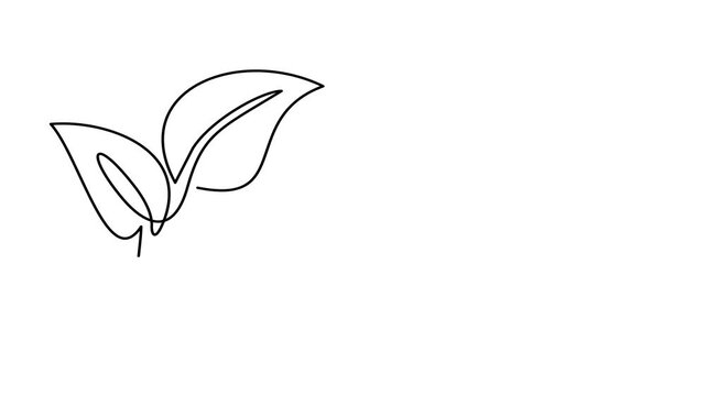 Animated self drawing of continuous line draw of Electric plug and leaf. Go green energy concept focusing on renewable power. Full length one line animation. 4K