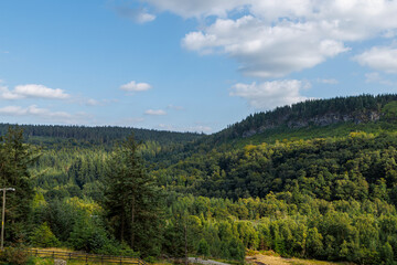 Naklejka premium Ruins of Hafna Lead mine Gwydir Forest Betws Y Coed