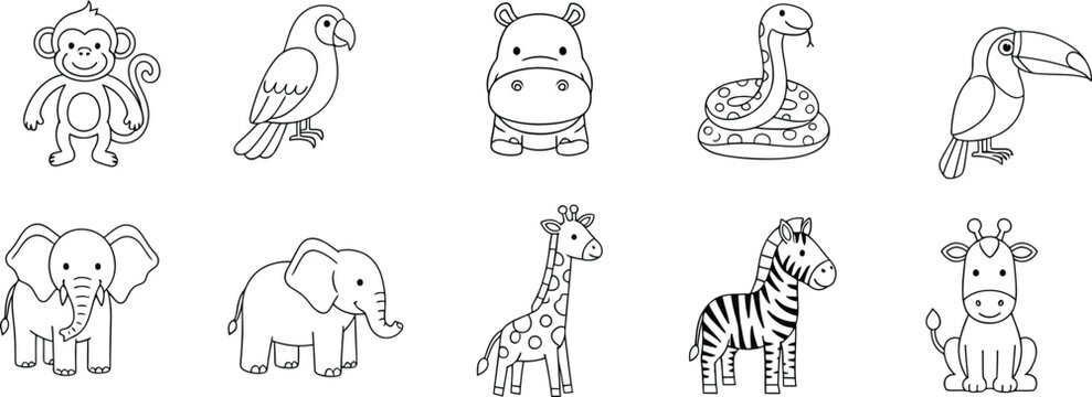 Set of cute jungle and safari animal line art illustrations for children's coloring book pages