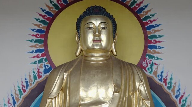 One towering gold Buddha inside a shrine.