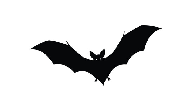 Black silhouette of a flying bat with wide spread wings and glowing eyes isolated on a plain white background for Halloween motifs.