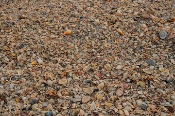 pebbles on the sand © Dave