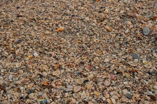 pebbles on the sand