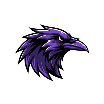Dynamic purple raven head mascot logo with fierce expression.