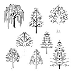 Fototapeta premium tree illustrations line art vector set showing various bare deciduous and evergreen pine trees with a weeping willow perfect for nature designs.