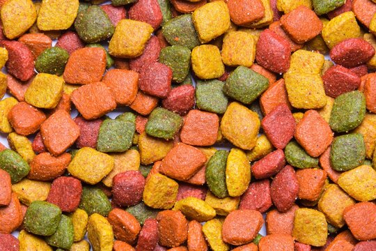 Top view of colorful dry pet food kibbles background. High-quality macro texture of crunchy food for cats or dogs with mixed ingredients for nutrition and healthy diet concepts.