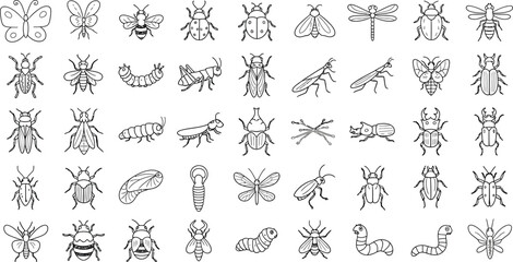 Obraz premium Detailed set of various insect line icons, bug and butterfly collection.