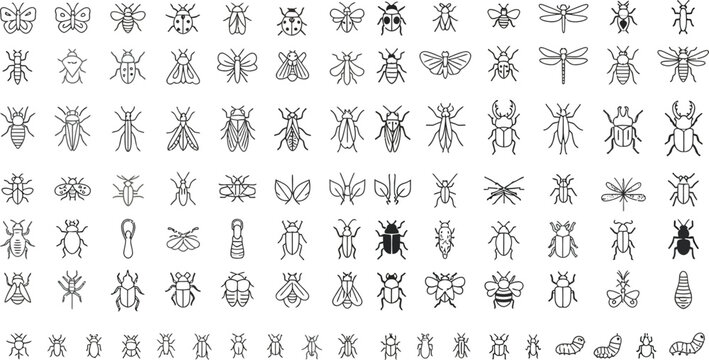 Large collection of insect line icons, various bugs and invertebrates set.