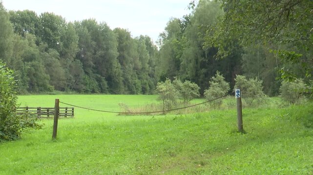 Lush green meadow with a wooden fence and a rope barrier leading into a forested area, numbered post visible in the foreground, showcasing natural beauty and tranquility