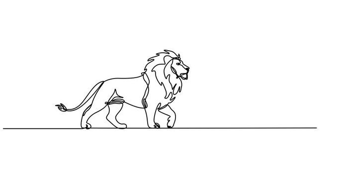 Abstract lion. Self drawing animation one continuous line draw, logo, Animated self drawing of single continuous line draw strong lion standing full body, king of the jungle, Full length one animation