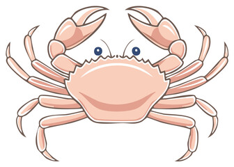 Fototapeta premium Stylized pink crab with large claws and blue eyes illustration