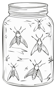 Collection of firefly insects trapped inside a glass mason jar black and white line art drawing